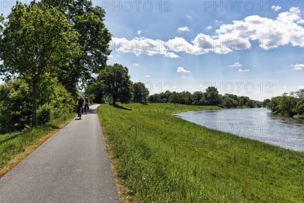 Cyclist on the Weser, on the Weser cycle path in summer, long-distance cycle path, backlight,
