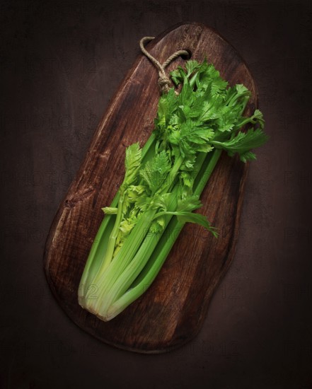 Fresh bunch of celery, top view, no people, on a dark background