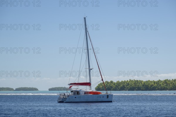 Excursion boat, sailing boat, catamaran, Motus, Tetiaroa, atoll, Marlon Brando Island, French