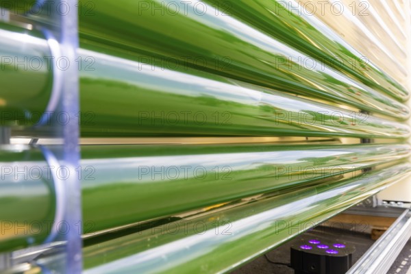 PUEVIT GmbH produces the most efficient photobioreactors for the cultivation of microalgae. The aim