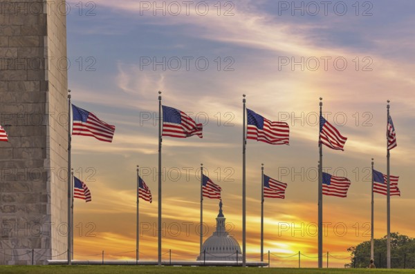 United States flags around the Washington Monument