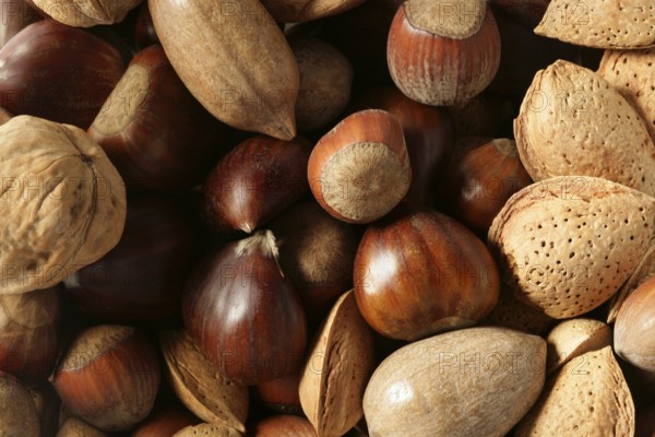 Nuts mix, walnuts, pecam hazelnut, almond, chestnut, crop texture background