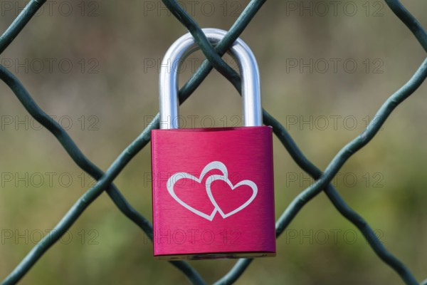 Love padlocks on a bridge. Valentines day love concept