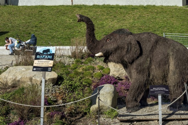 Advertising for exhibition, Ice Age Safari, woolly mammoth baby, Kempten, Allgäu, Bavaria, Germany,