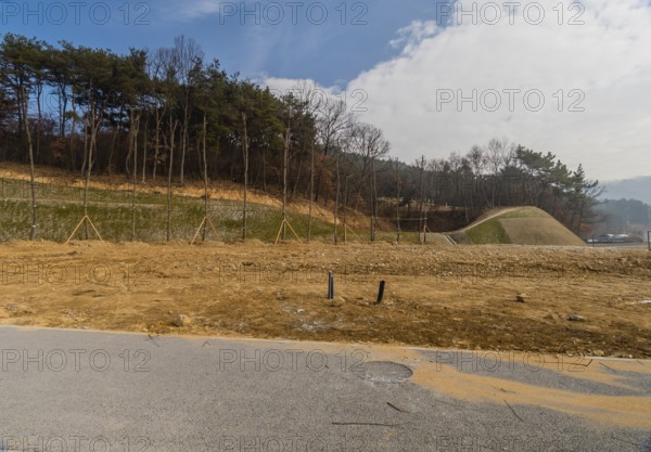 Landscape of construction site with row of newly planted trees at edge of undeveloped land, South