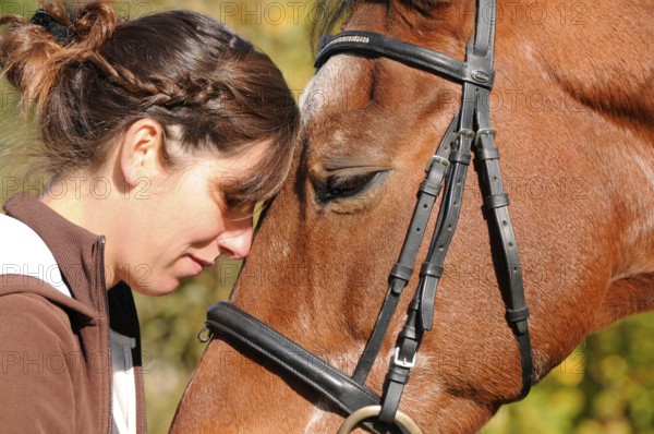 Woman and old horse, Trakehner, 30 years old, German warmblood, riding horse, bridle, lateral