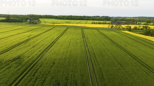 Aerial view, Denmark, Region Syddanmark, Christiansfeld, Agriculture and farms with grain and rape