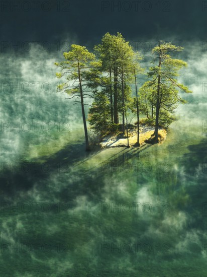 Trees in the morning mist on a small island in Lake Fernstein, Nassereith, Tyrolean Oberland,