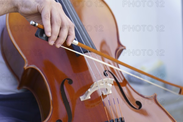 Hands of unrecognizable man playing the cello on a white background and copy space