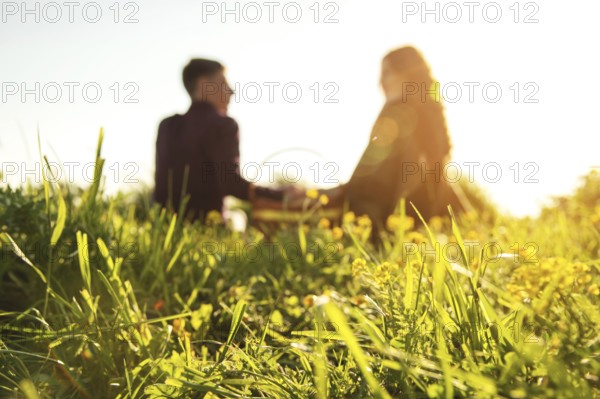 View from the back. Young married couple are holding hands on a picnic in nature at sunset. The