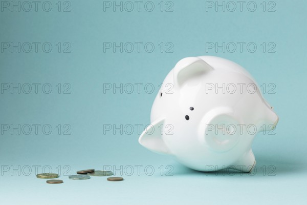 Finance elements with white piggy bank
