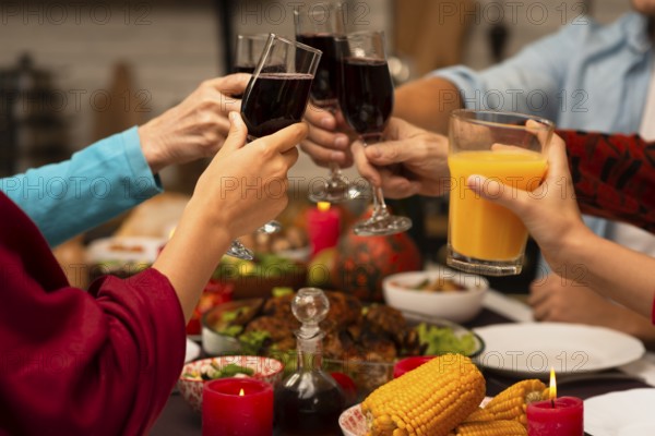 Family toasting glasses thanksgiving event