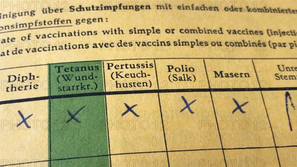 German international certificate of vaccination with complete records for diphtheria, tetanus,