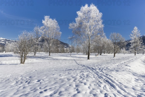 Winter, snow, cross-country skiing, hiking, winter hike, mountains, Hohe Tauern, Pinzgau