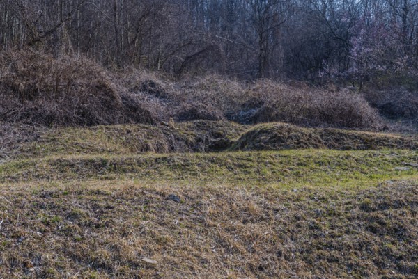 Unmarked burial mound in clearing of wilderness area on sunny day in early spring, South Korea,