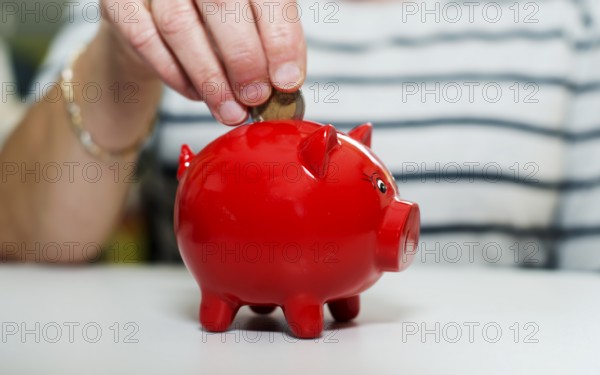 Female hand putting euro in money pig Female hand putting euro in money pig, saving money for later