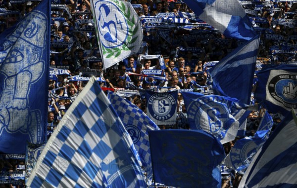 Veltins Arena Gelsenkirchen, 1.9.2024, 2nd Bundesliga season 2024/25 4th matchday, Schalke 04 (S04)