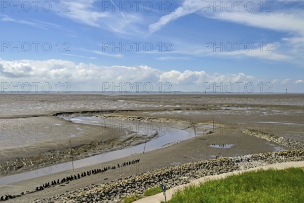 Fairway in the mudflats of the Wadden Sea, Wremen, Wurster Land, district of Cuxhaven, Lower