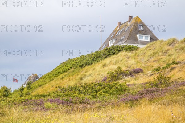 Officers' houses, today holiday homes on the dune, Hörnum, Sylt