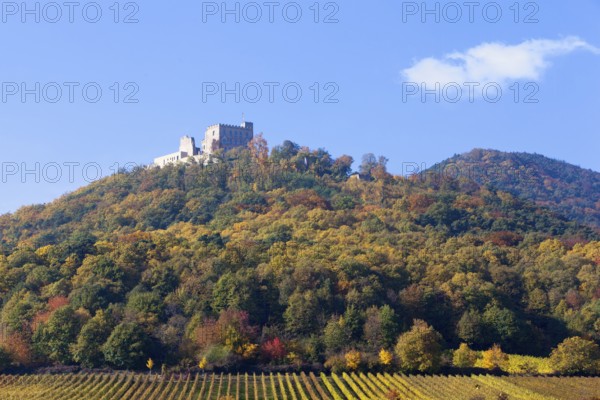 Hambach Castle