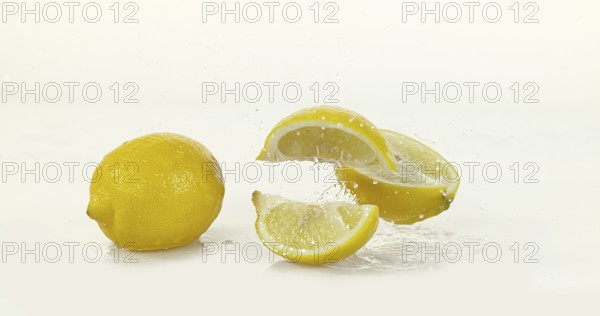 Yellow Lemons, citrus limonum, Fruits Rolling on Water and splashing against White Background