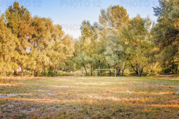 A football (soccer) playground surrounded by trees in the middle of the forest