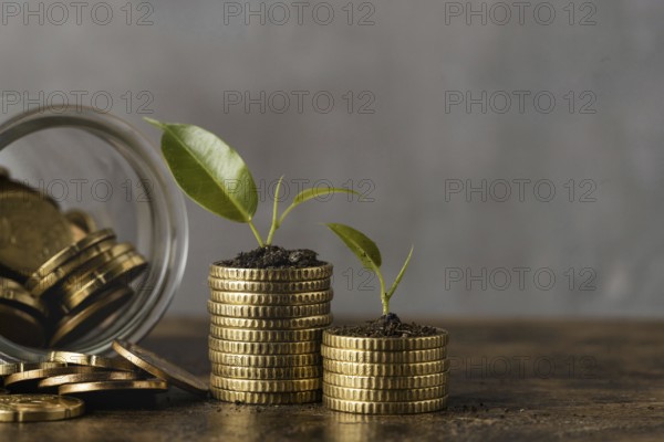 Front view two stacks coins with jar plants. Resolution and high quality beautiful photo