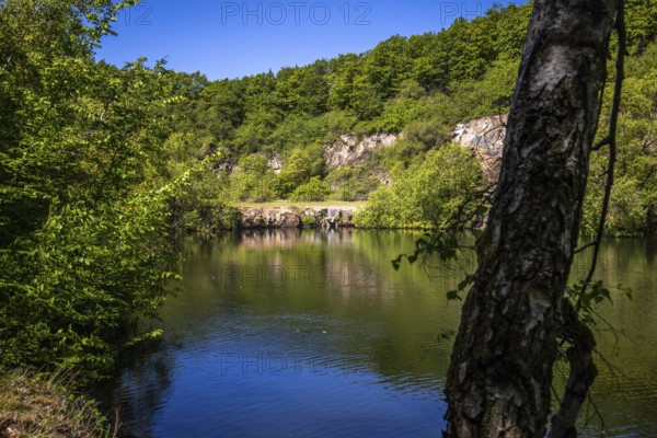 Scenic view at the silver lake on the mountain Lemberg, Rhineland-Palatinate, Germany, Europe