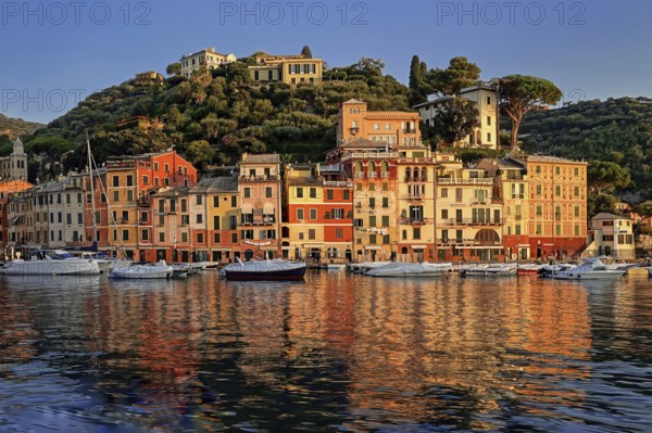 Italy, Cinque Terre, Portofino, harbour and town view, Portofino, Liguria, Italy, Europe