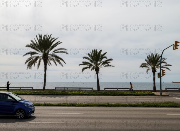 View of the sea and car on the seafront road Ma-19, Avenida de Gabrial Roca, Autopista de Llevant,