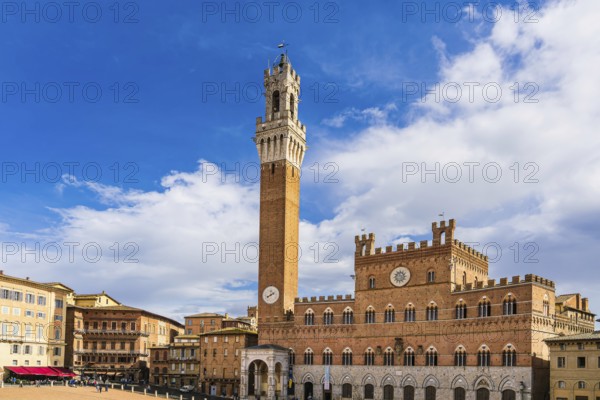 View of the Palazzo Pubblico town hall in Siena, Italy, Europe