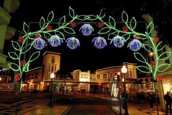 Christmas lights, leaves, flowers, Mercado dos Lavraderos, Funchal, Madeira Island