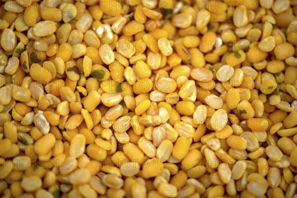 Dry organic Split Half Moong or Mung bean or green gram. Healthy spices, nuts, seeds and herbal