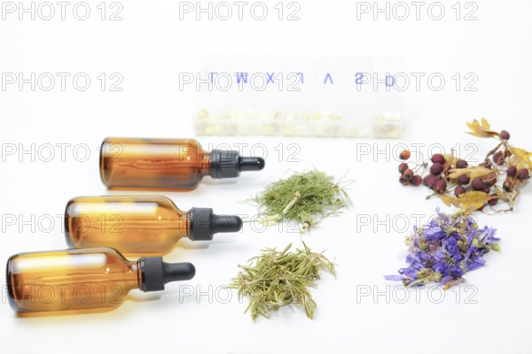 Group of various medicinal plants next to a box of pills isolated on white background and copy