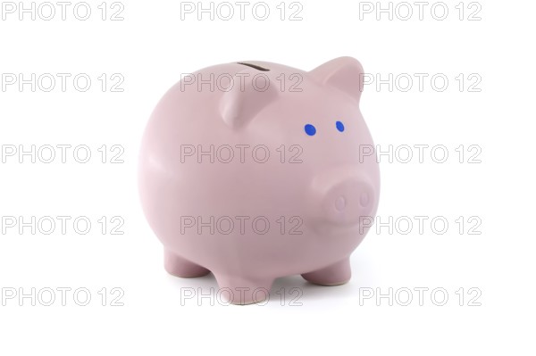 Piggy bank, which has blue eyes and a pink nose isolated on a white background