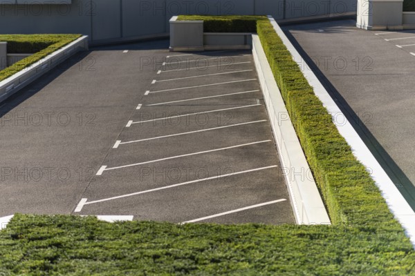 Diagonal parking pattern on a parking space, surrounded by boxwood in the City Nord, an office city