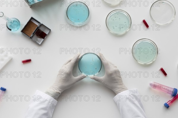 Close up hands holding petri dish. Beautiful photo