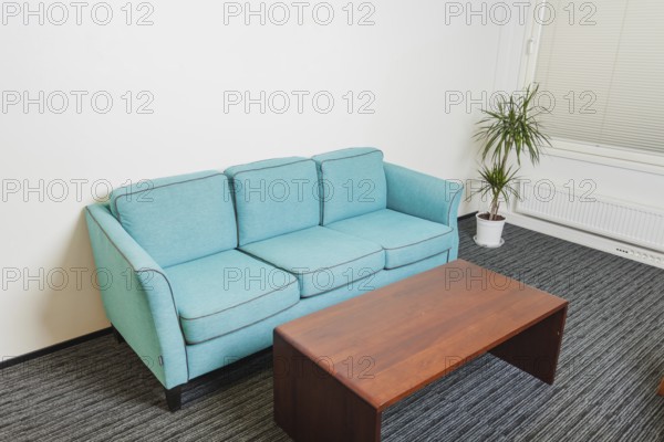 Sofa table standing gray rug