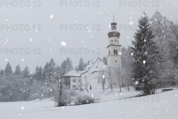 Church of St. Martin during snowfall, Gnadenwald, Tyrol, Austria, Europe