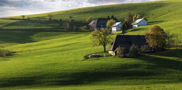 Old farms in the landscape in autumn, Breitnau, Black Forest, Baden-Württemberg, Germany, Europe