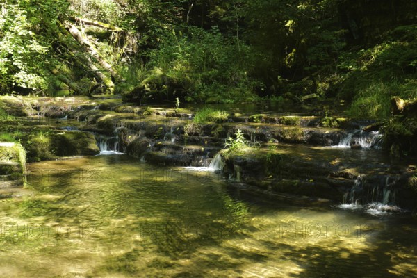 Gauchach Gorge in the Black Forest, Baden-Württemberg, Germany, Gauchach Gorge in the Black Forest,
