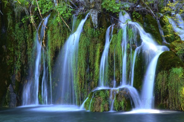 Europe, Croatia, Plitvice Lakes, waterfall, cascades, Plitvice, Croatia, Europe