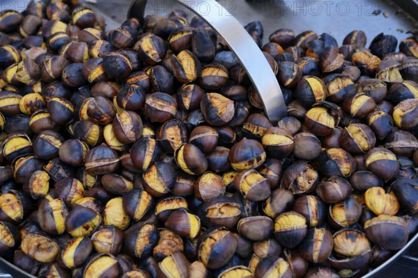 Brown roasted chestnuts roasting in the pan, Rome, Lazio, Italy, Europe