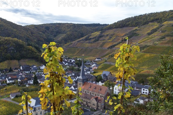 View of the church in Mayschoß in the Ahr valley from the red wine hiking trail