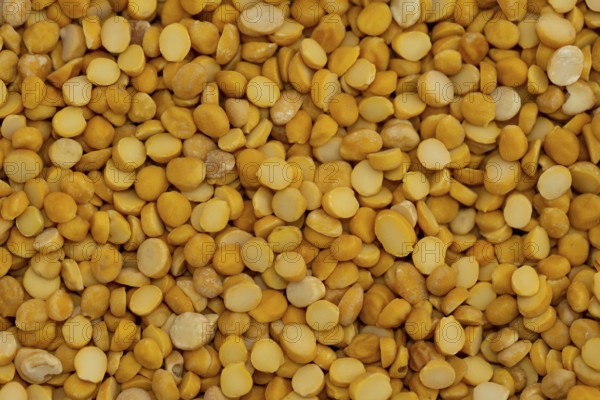 A close-up view of yellow dried split peas, creating a natural and organic texture, Close up of
