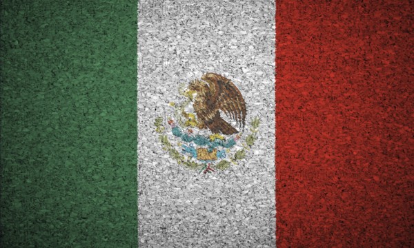 The Mexican flag painted on a cork board
