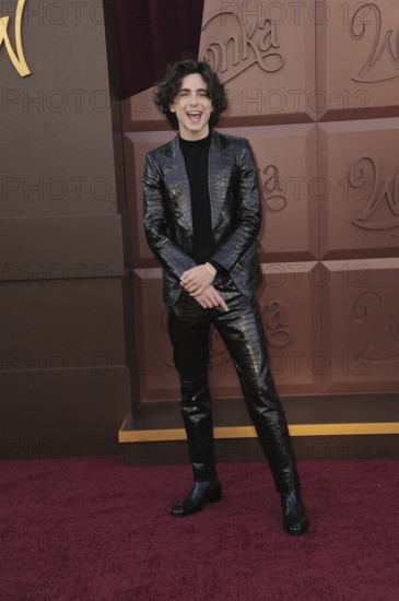 Timothee Chalamet at the Los Angeles premiere of 'Wonka' held at the Regency Village Theater in