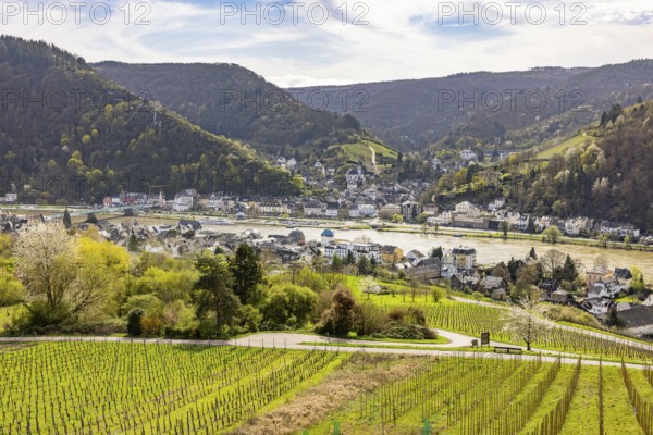 View of the town of Traben-Trarbach and the Moselle with surrounding vineyards and clear sky,