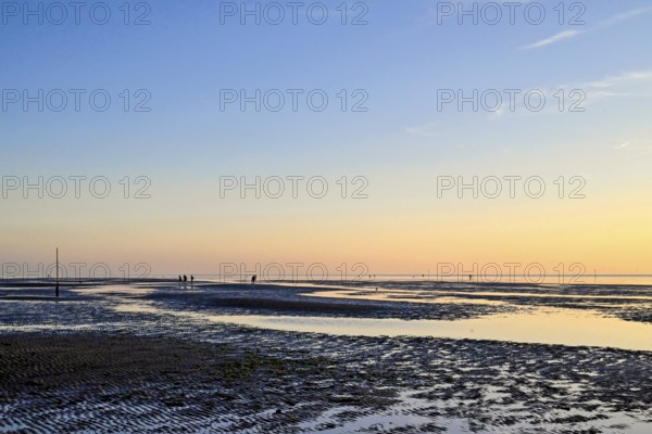 Wadden Sea shortly in front of sunset, Sahlenburg, Cuxhaven, Lower Saxony, Germany, Europe