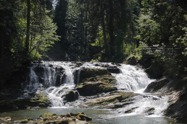 Schwarzwasserbach
